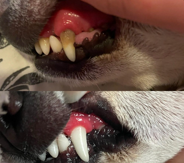 Keine Versprechen – nur sichtbare Resultate.