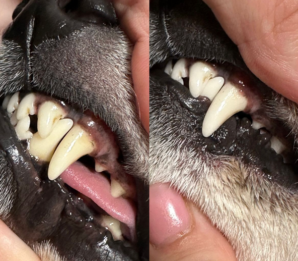 Keine Versprechen – nur sichtbare Resultate.