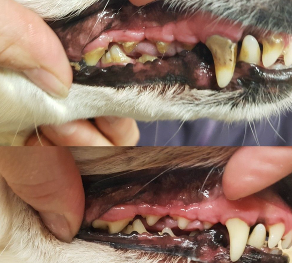 Keine Versprechen – nur sichtbare Resultate.