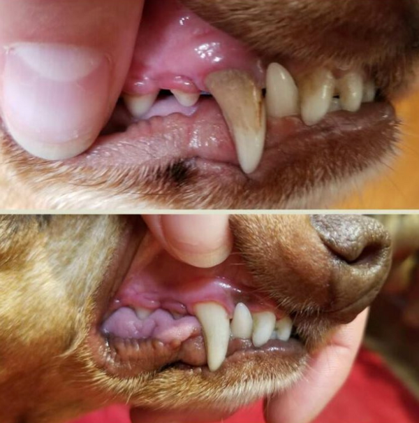 Keine Versprechen – nur sichtbare Resultate.