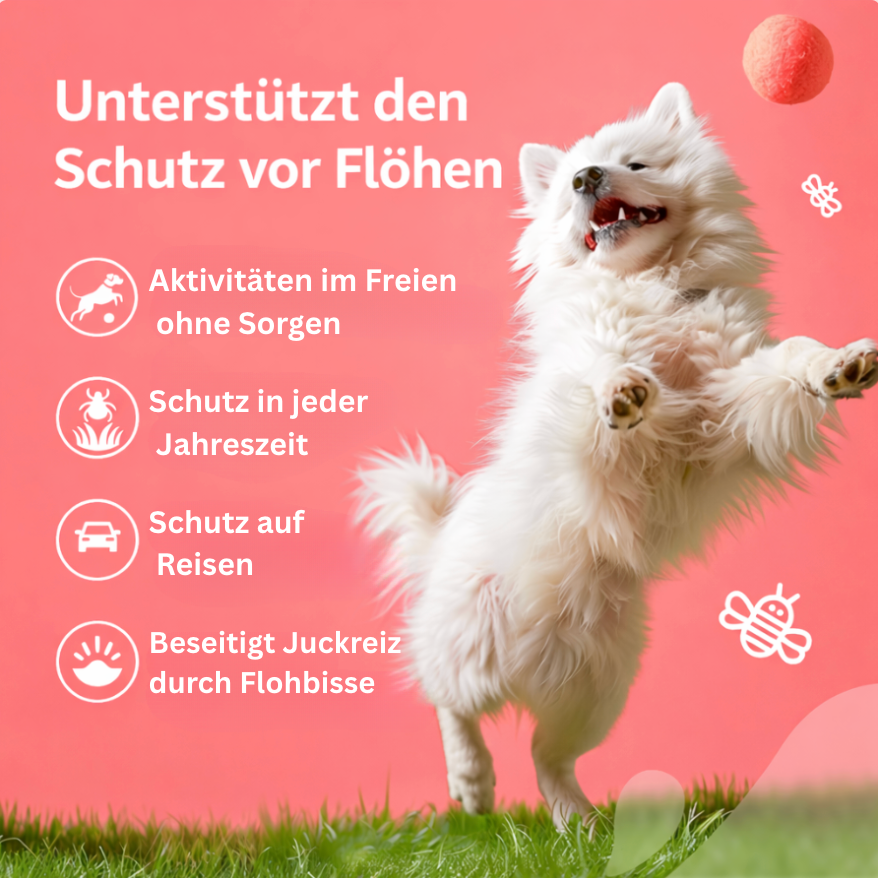 Mydelia™ - Hunde Floh- & Zeckenschutz Leckerlis