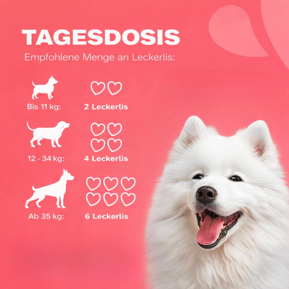 Mydelia™ - Hunde Floh- & Zeckenschutz Leckerlis