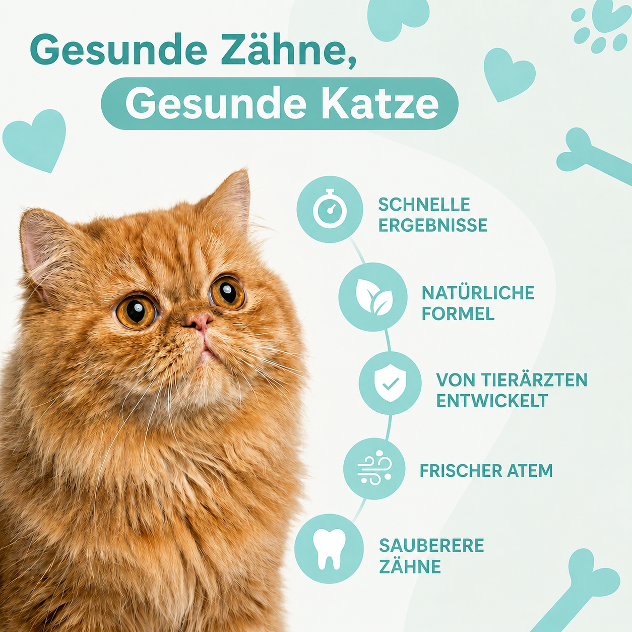 Mydelia™ - Katzenzahnpulver