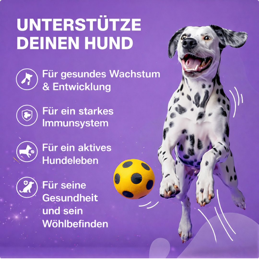 Mydelia™ - Hunde Multivitamin Leckerlis