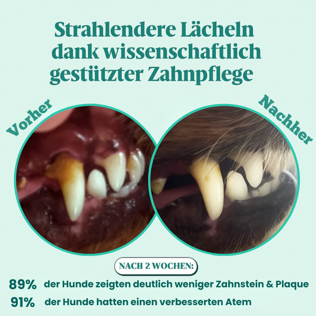 Mydelia™ - Hundezahnpulver
